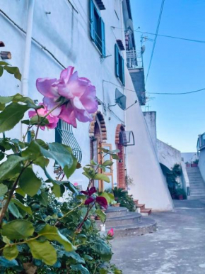 Il cortile fiorito